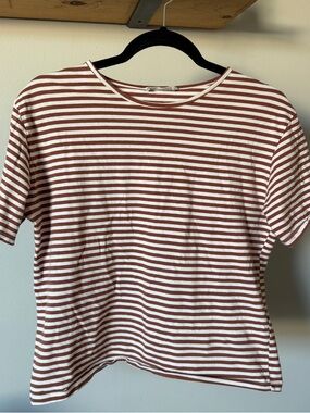 Mango Striped Crewneck Tee in White and Rust Brown